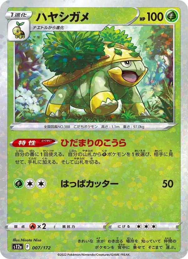 ハヤシガメ, carta 007 de VSTARユニバース