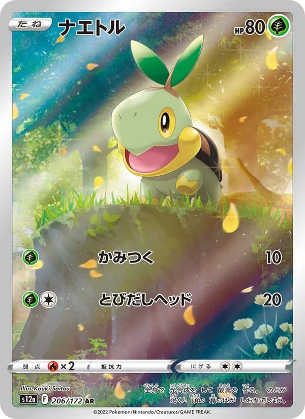 ナエトル, carta 206 de VSTARユニバース