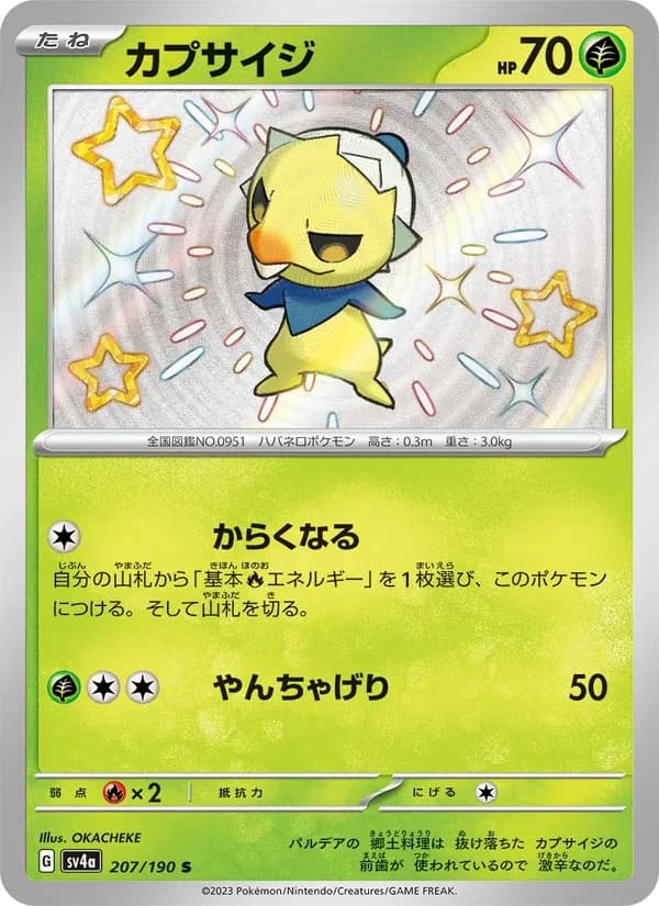 カプサイジ, carta 207 de レイジングサーフ