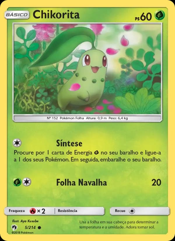 Chikorita, carta 5 de Trovões Perdidos