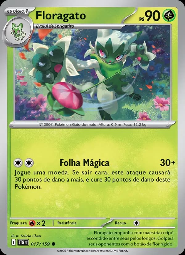 Floragato, carta 017 de Amigos de Jornada