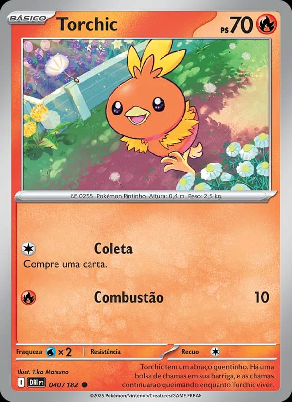 Torchic, carta 040 de Rivais Predestinados