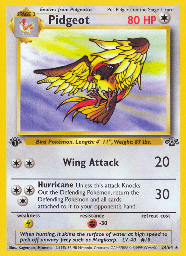 Pidgeot, carta 24 de Jungle