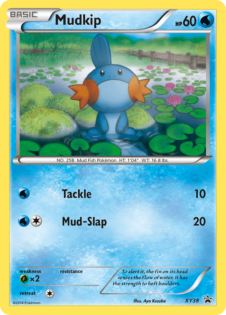 Mudkip, carta XY38 de XY Black Star Promos