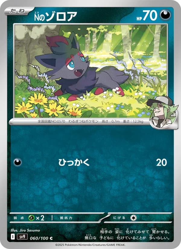 Nのゾロア, carta 060 de バトルパートナーズ